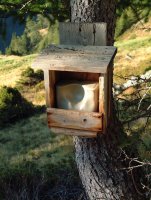 Halbiert oder gevierteilt, passt er in jedes Salzkisterl - Socksulze oder Spaltsulze. fullprint_150.jpg